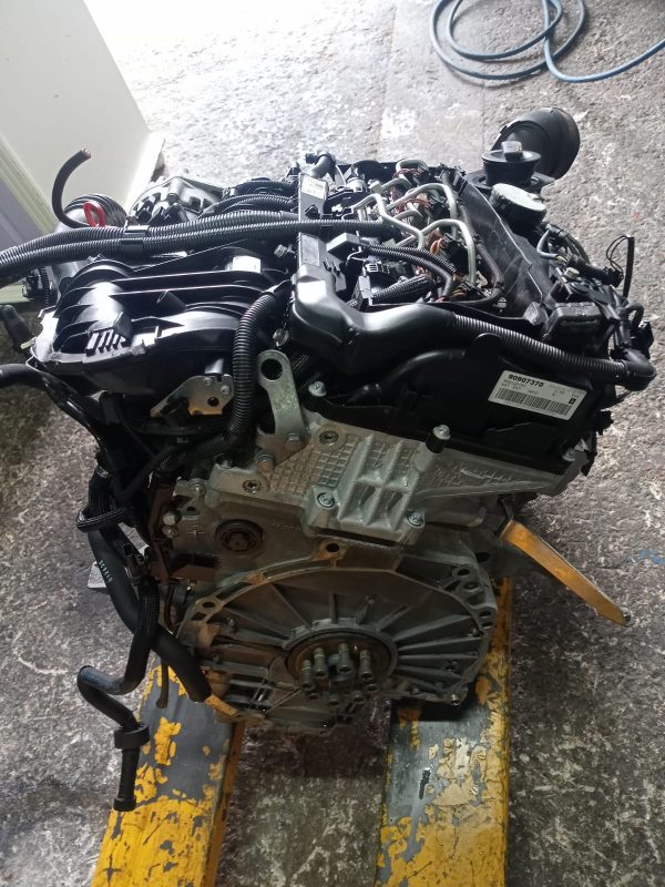 IMG-20240130-WA0005 IMG-20240130-WA0005